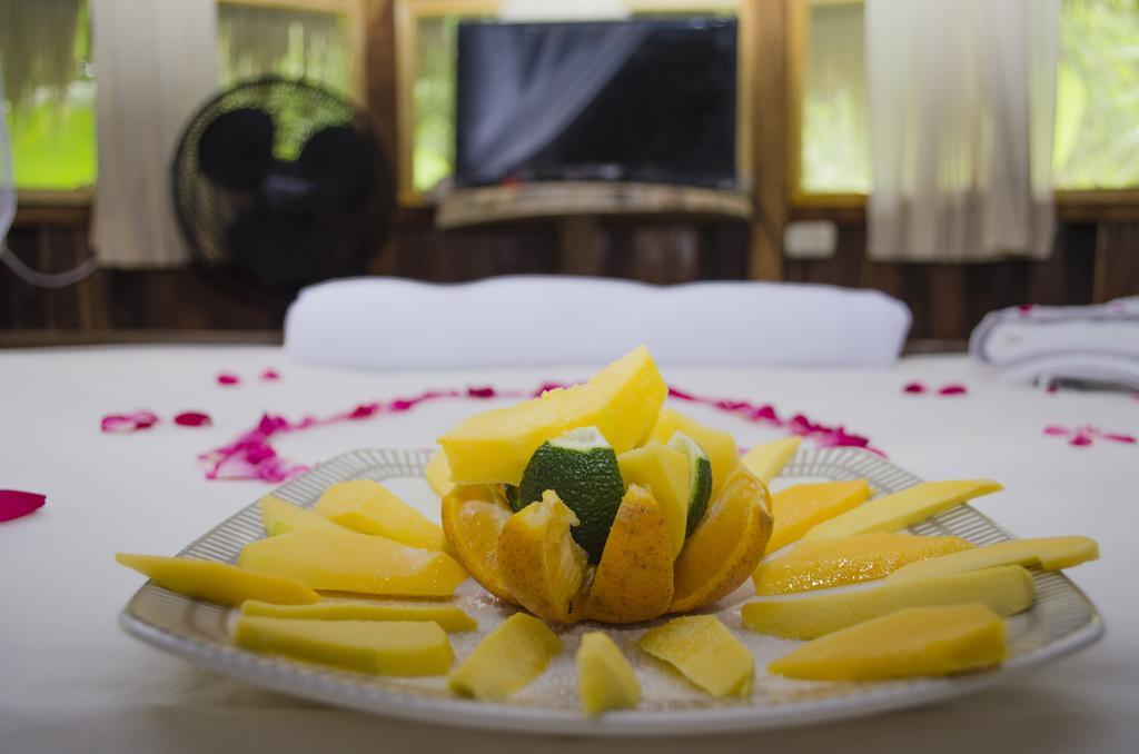 埃尔扎伊诺Tayrona Paradise别墅 外观 照片