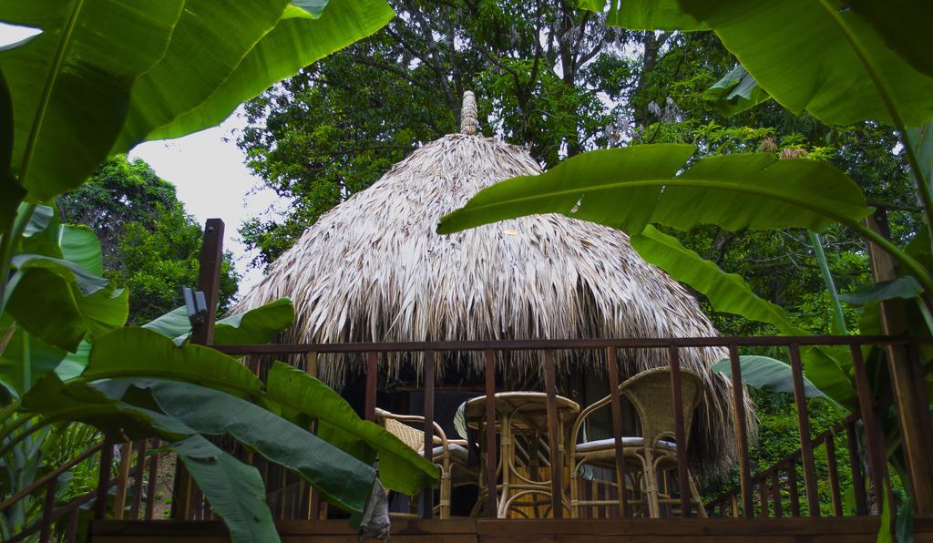 埃尔扎伊诺Tayrona Paradise别墅 外观 照片