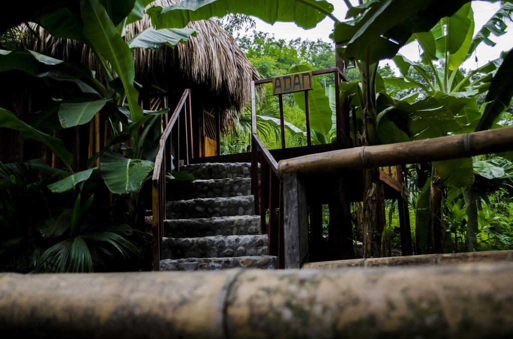 埃尔扎伊诺Tayrona Paradise别墅 外观 照片