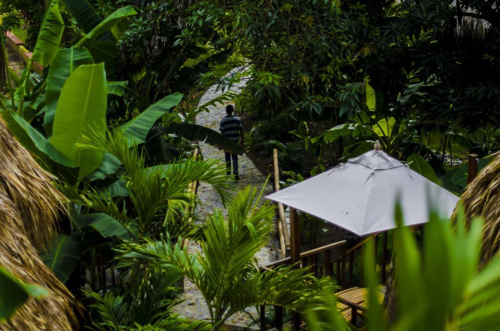 埃尔扎伊诺Tayrona Paradise别墅 外观 照片