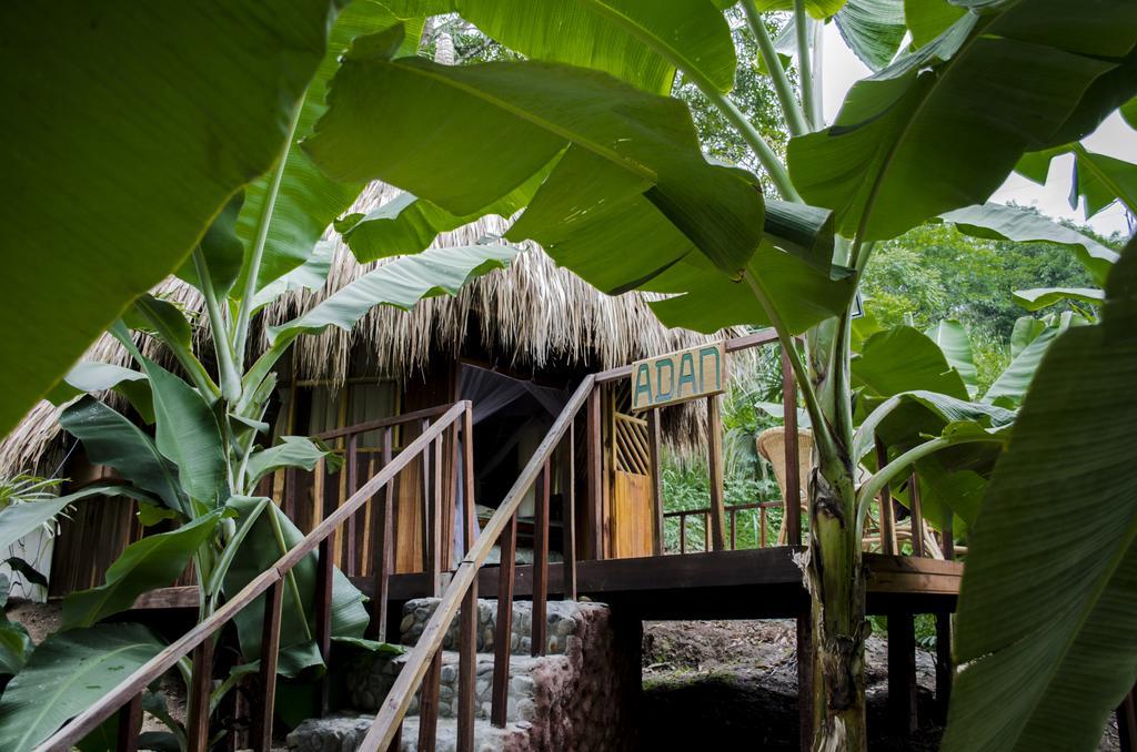 埃尔扎伊诺Tayrona Paradise别墅 外观 照片