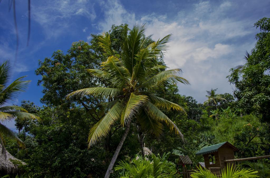 埃尔扎伊诺Tayrona Paradise别墅 外观 照片