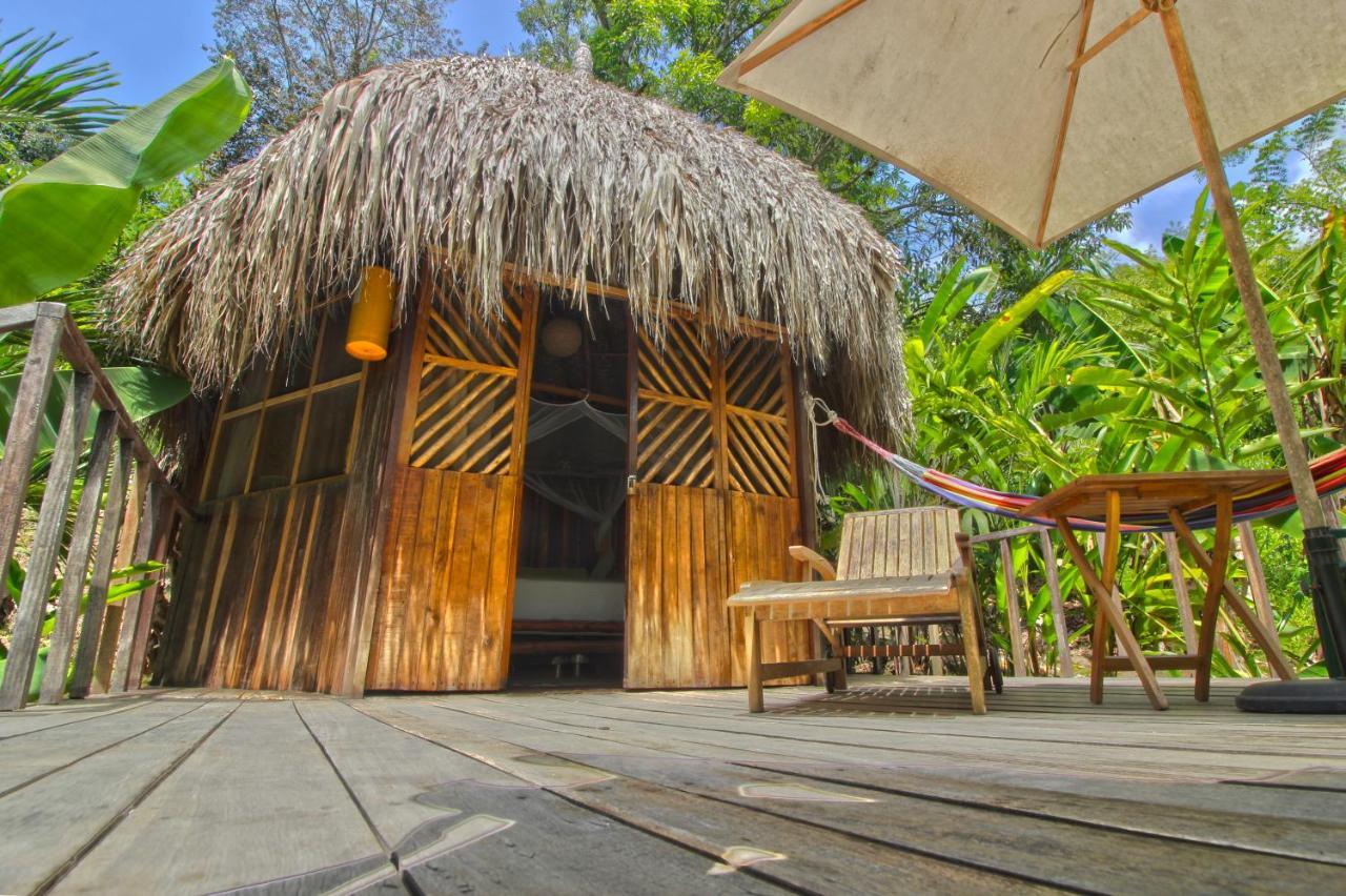 埃尔扎伊诺Tayrona Paradise别墅 外观 照片