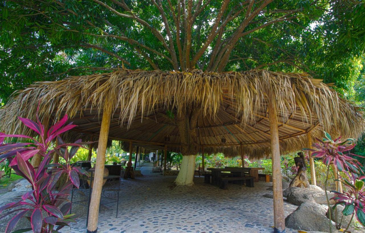 埃尔扎伊诺Tayrona Paradise别墅 外观 照片